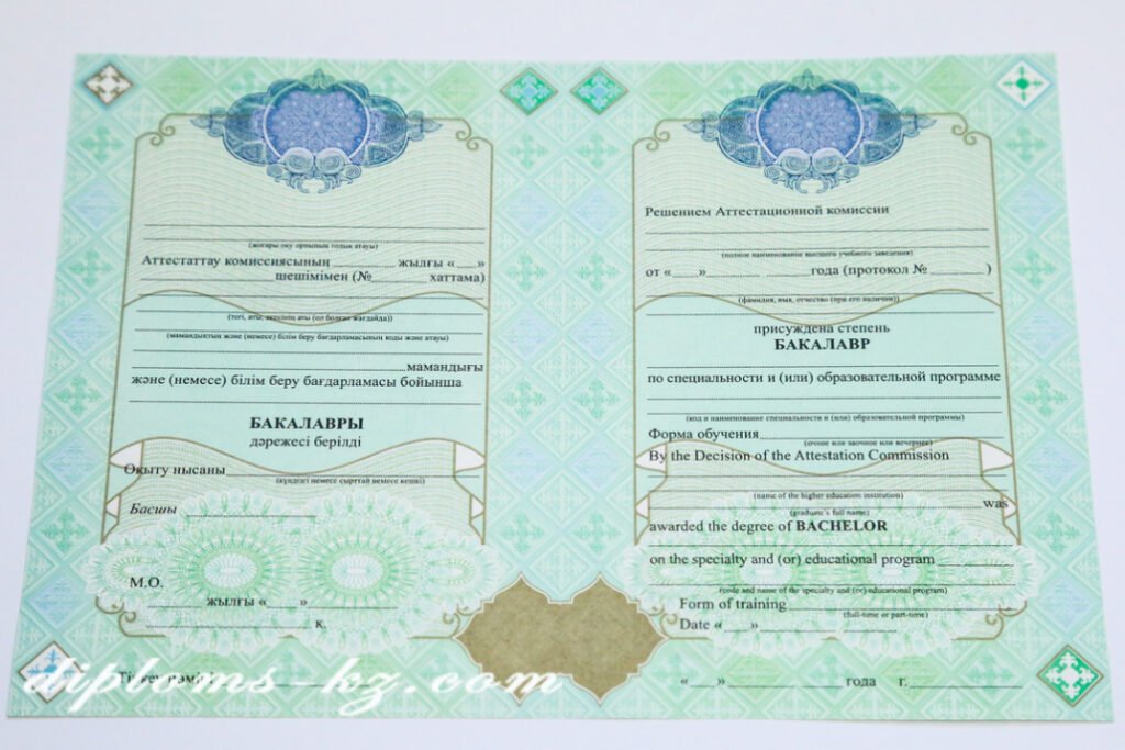 Диплом бакалавра