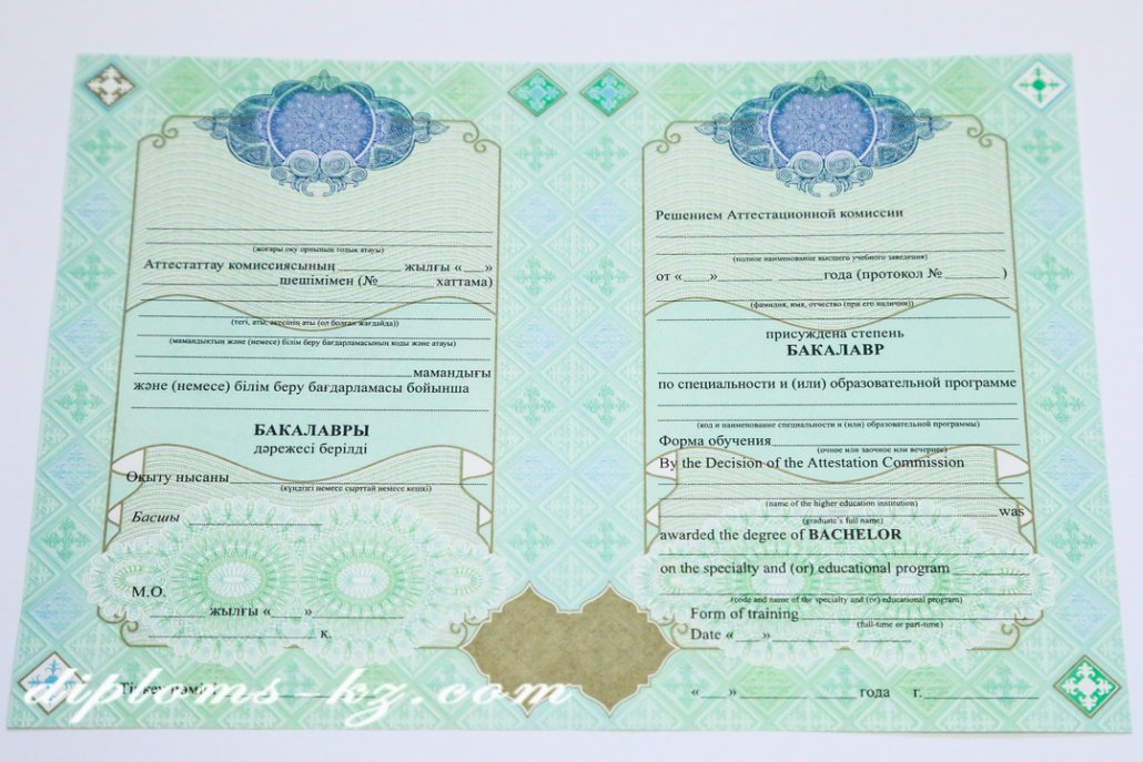 Диплом бакалавра
