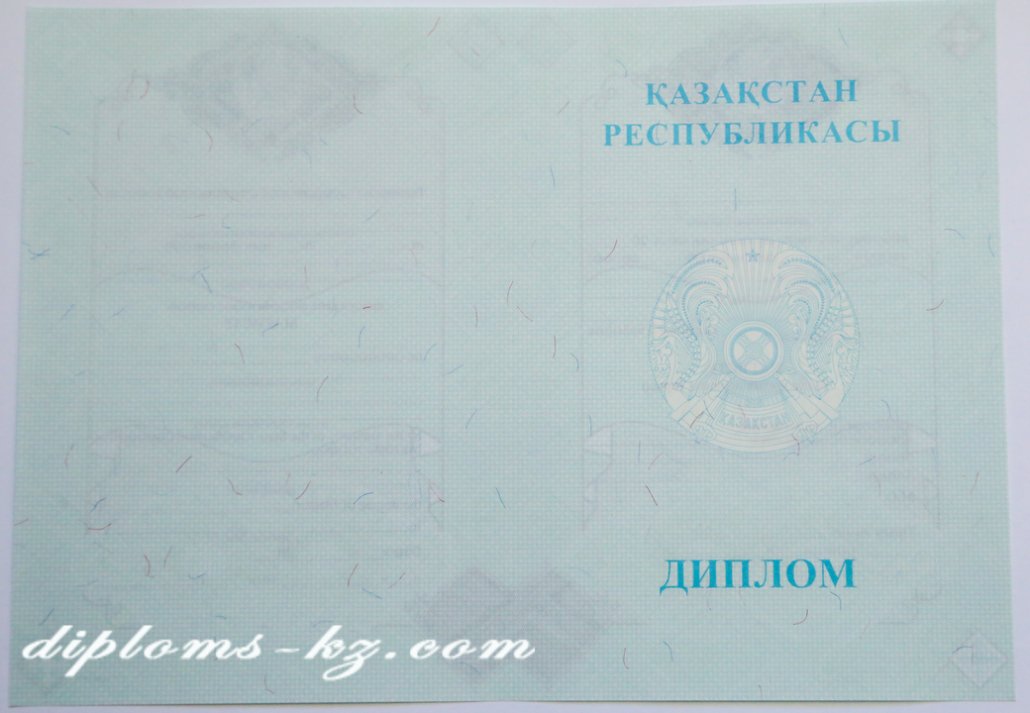 Диплом магистра — изображение 3